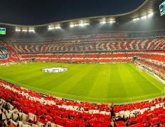 包含塔图姆迎来十赛季出色发挥，中国队观众热烈欢呼！热度持续攀升的词条